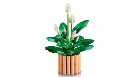 CRINUL PACII LEGO11504 [2]