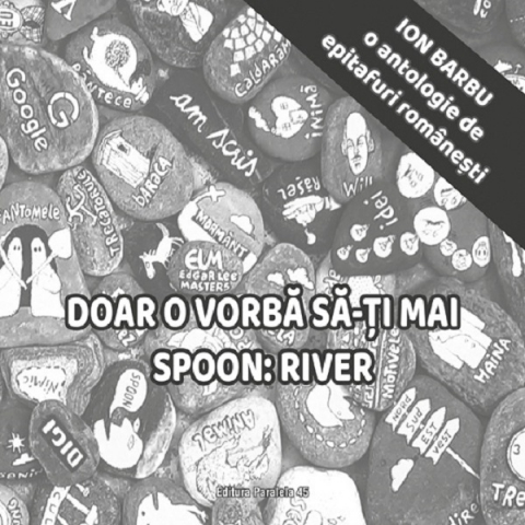 Carti - Doar O Vorba Sa-Ti Mai Spoon, Ion Barbu - Editura Paralela 45