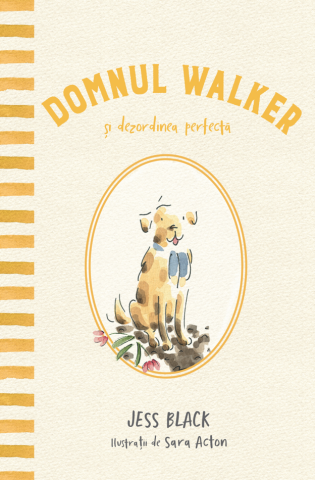 9-11 ani - Domnul Walker Si Dezordinea Perfecta, Jess Black - Editura DPH