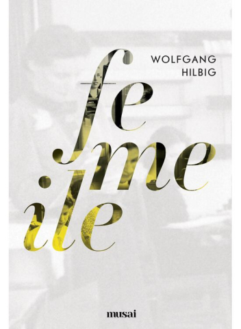 Carti - Femeile, Wolfgang Hilbig - Editura Art