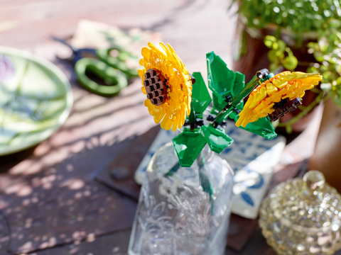 FLORILE SOARELUI, LEGO 40524 [3]