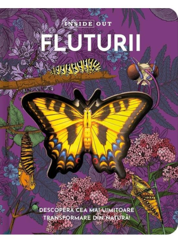 Grupe de varsta - Fluturii,  - Editura Kreativ