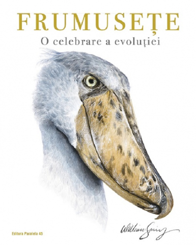 Atlase si Dictionare - Frumusete, William Spring - Editura Paralela 45