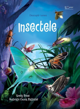 Univers Enciclopedic - Insectele, Emily Bone - Editura Univers Enciclopedic