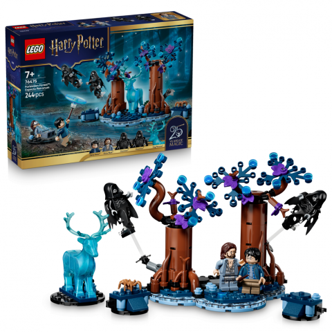 Jucarii - PADUREA INTERZISA: EXPECTO LEGO76475