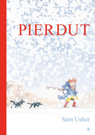 Fictiune pentru copii - Pierdut, Sam Usher - Editura Curtea Veche