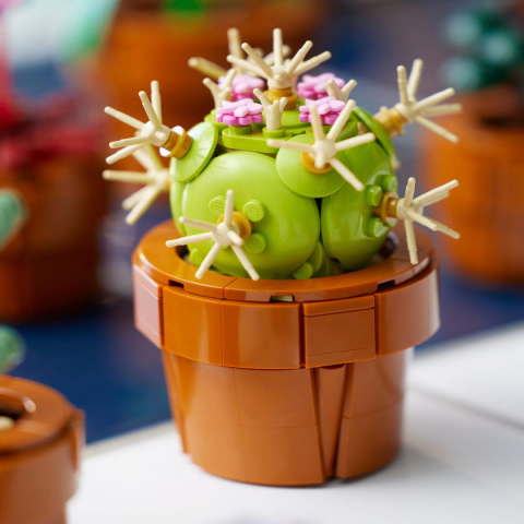 PLANTE DE MICI DIMENSIUNI, LEGO 10329 [7]