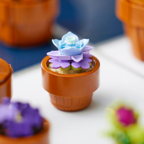 PLANTE DE MICI DIMENSIUNI, LEGO 10329 [4]