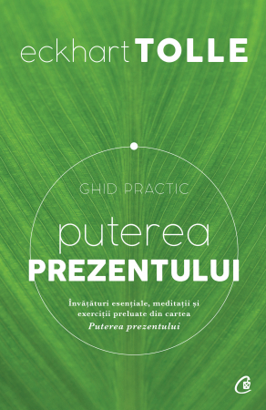 Puterea Prezentului. Ghid Practic Ed. Iii, Eckhart Tolle - Editura Curtea Veche