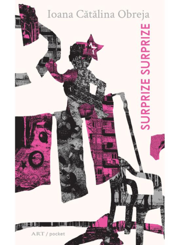 Literatura Universala - Surprize Surprize, Ioana Cătălina Obreja - Editura Art