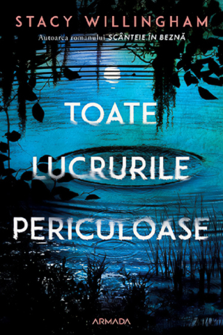 Carti - Toate Lucrurile Periculoase, Stacy Willingham - Editura Nemira