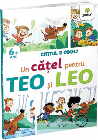 Grupe de varsta - Un Catel Pentru Teo Si Leo, Sara Stangherlin, Fabio Santomauro - Editura Gama