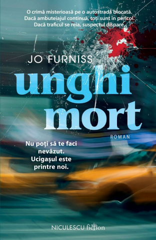 Carti - Unghi Mort, Jo Furniss - Editura Niculescu