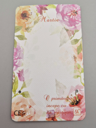 Martisor 2025 - Cartonase martisor 9x5.5cm - set 20 buc