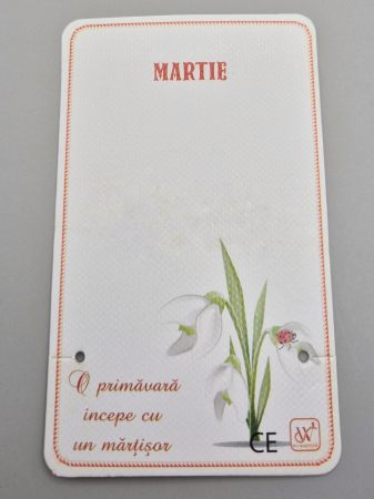 Martisor 2025 - Cartonase martisor 9x5.5cm - set 20 buc