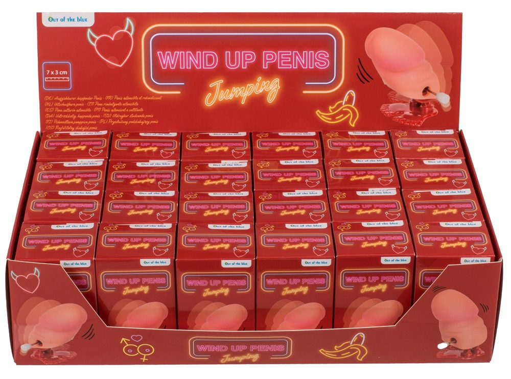 Set Cadou Petrecere Wind-Up Willy 24 buc [2]