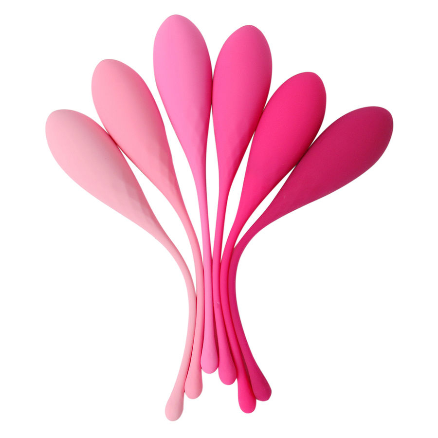 Bile Kegel Leslie Kegel Fit Pelvic Muscle Training Set 6 Weights [13]