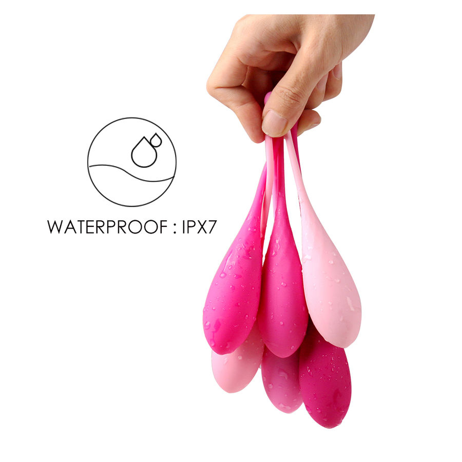 Bile Kegel Leslie Kegel Fit Pelvic Muscle Training Set 6 Weights [12]