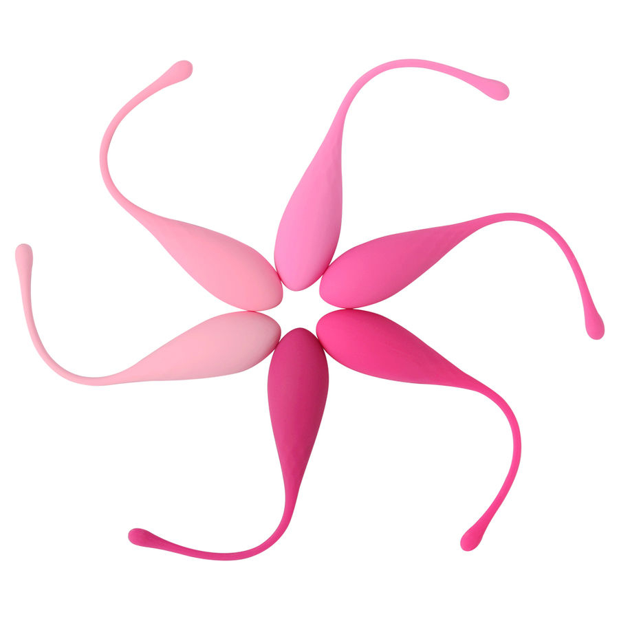 Bile Kegel Leslie Kegel Fit Pelvic Muscle Training Set 6 Weights [2]