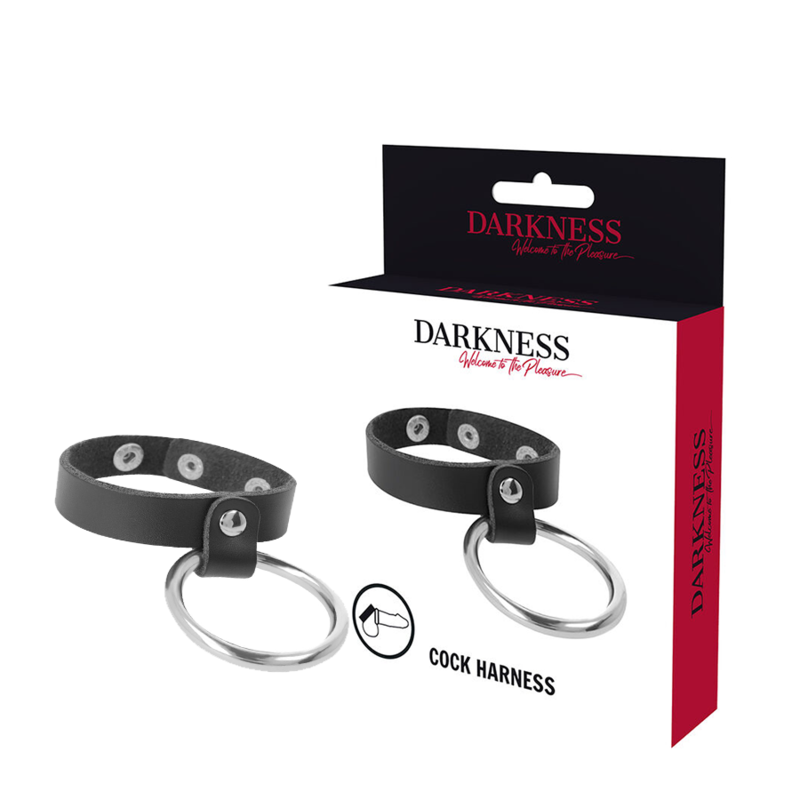 Inel Penis Testicule Darkness Metal ring for the penis and testicles [2]