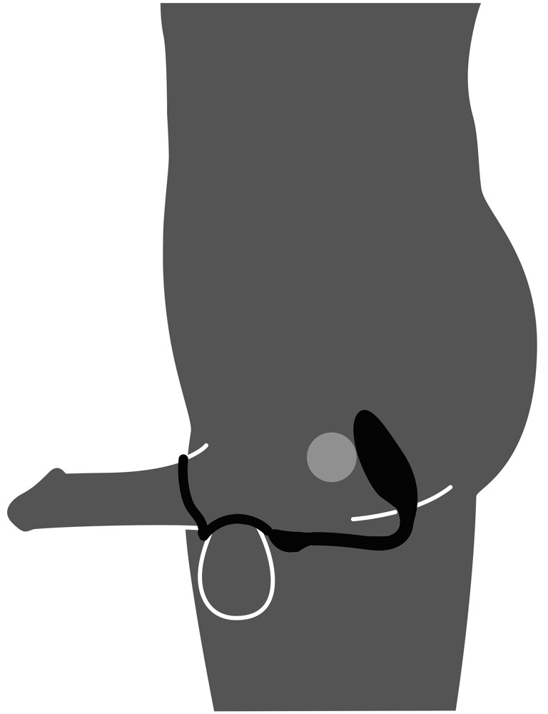 Inel Vibrator Penis Testicule Barbati Rebel Cock and Ball Ring with RC Butt Plug [12]