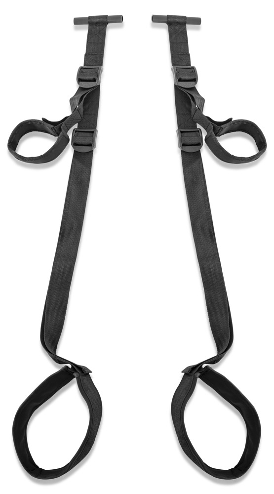 Leagan Erotic Fetish Fantasy Fantasy Door Swing [3]