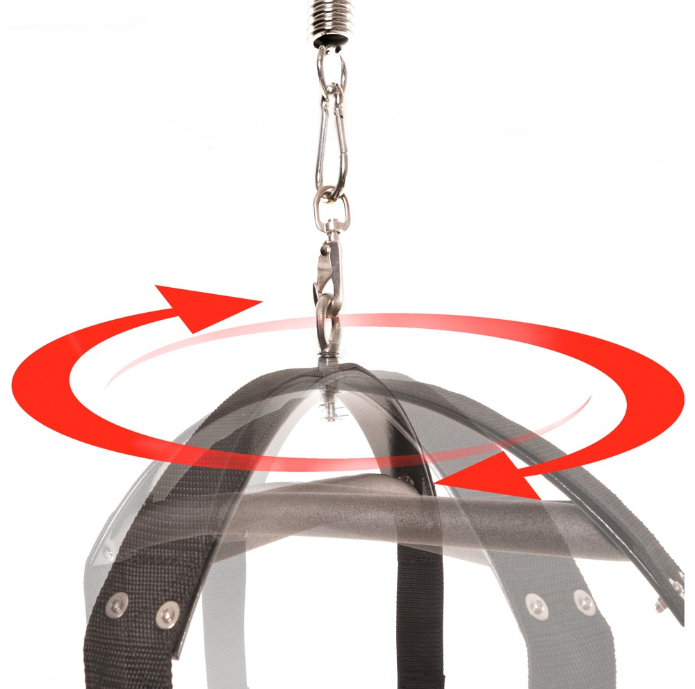 Leagan Erotic Fetish Fantasy Spinning Fantasy Swing [5]