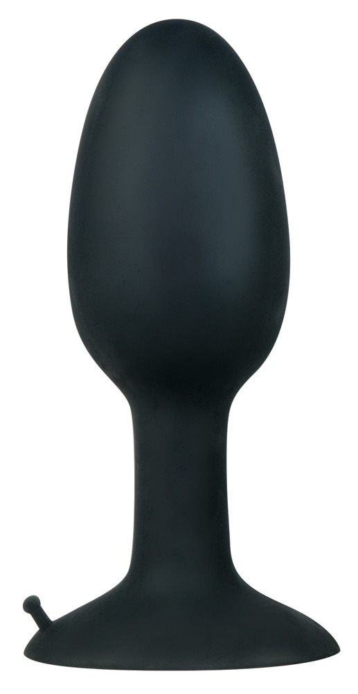Plug Anal Backdoor Friend Large [2]