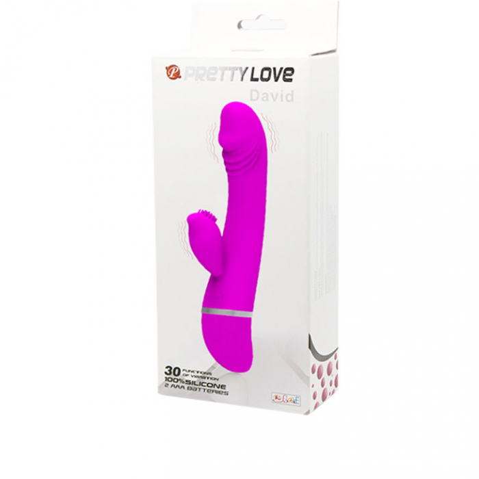 Vibrator Pretty Love Flirtation David Vibrator With Rabbit [7]