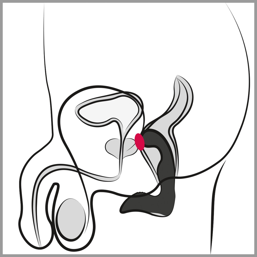 Vibrator Rebel Prostate Vibrator [6]