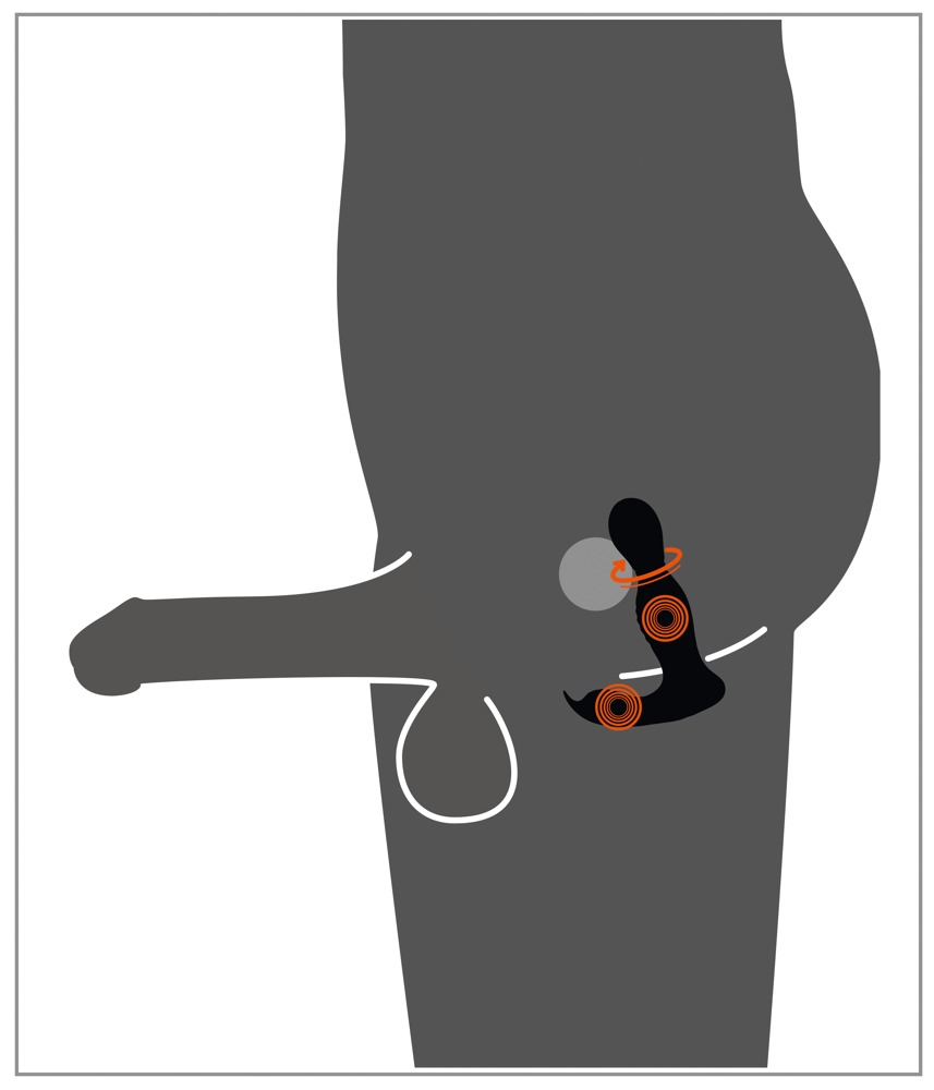 Vibrator Rebel RC Butt Plug with 2 Functions [13]