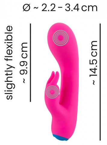 Vibrator Rabbit Roz Bunt Rabbit vibrator [8]