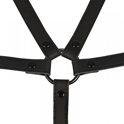 Ham Fetish Submissive Bondage Adjustable harness torso and arms [5]