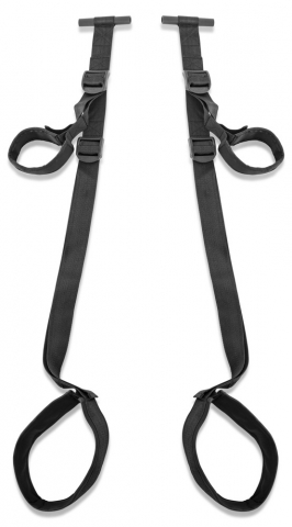 Leagan Erotic Fetish Fantasy Fantasy Door Swing [2]
