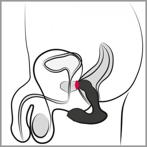 Vibrator Prostata Rebel RC Prostate Massager [11]