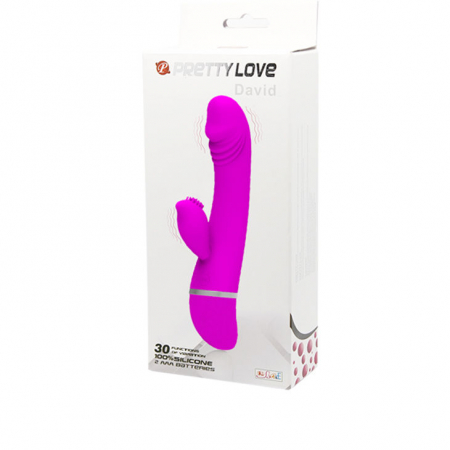 Vibrator Pretty Love Flirtation David Vibrator With Rabbit [6]