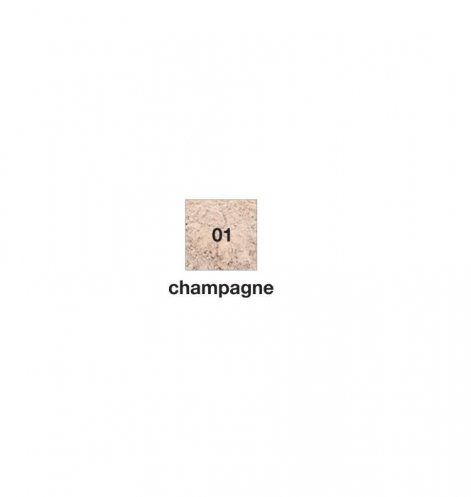 Pudra iluminatoare, 01 Champagne - 15g [2]