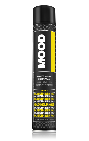 Fixare Coafura - Fixativ Cu Fixare Puternica 750ml-Power&dry Hairspray-Mood