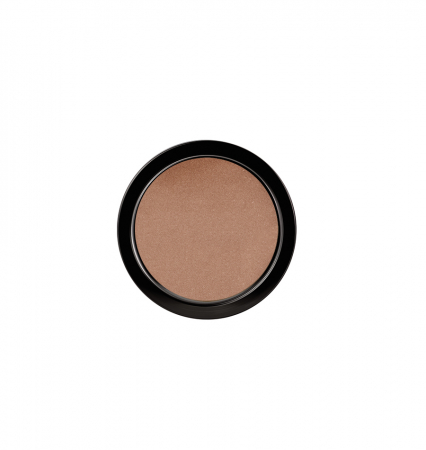 Machiaj Profesional - Pudra compacta cu efect de iluminare, Shimmer Pressed Powder pentru fata si gat 01, 9g