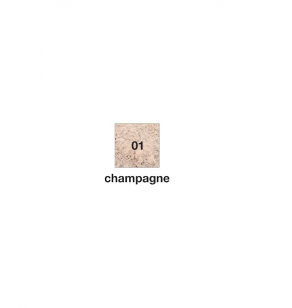 Pudra iluminatoare, 01 Champagne - 15g [1]