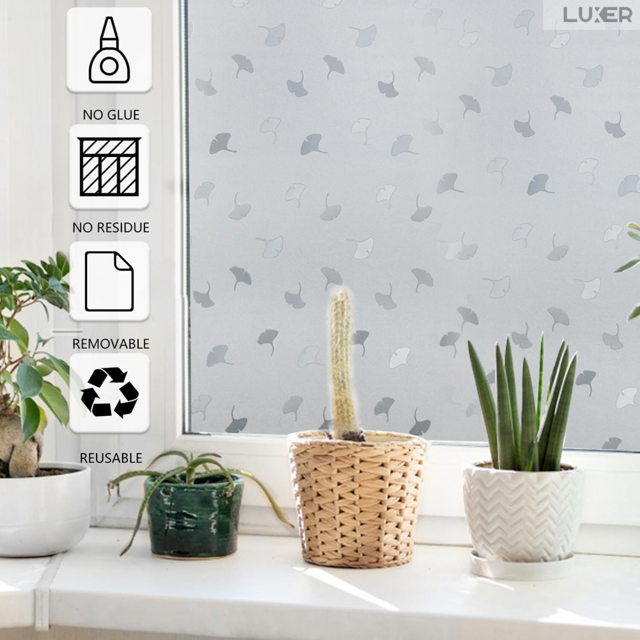 Folie Decorativa Privacy Pentru Geamuri - Home&Office, Protectie UV, Model - Frunza Ginkgo Biloba, Dimensiuni 200x60 cm, Luxer [8]