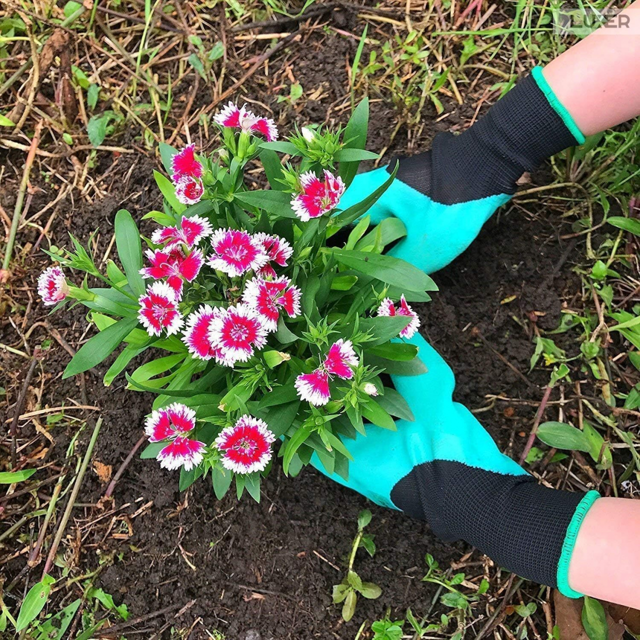 Manusi De Gradinarit Cu 4 Gheare Pentru Sapat, Plantat sau Plivit, Marime Universala, Verde, Luxer, potrivite pentru activitatile din gradina, leroy  merlin brico depot kaufland, pentru trandafiri flori [4]