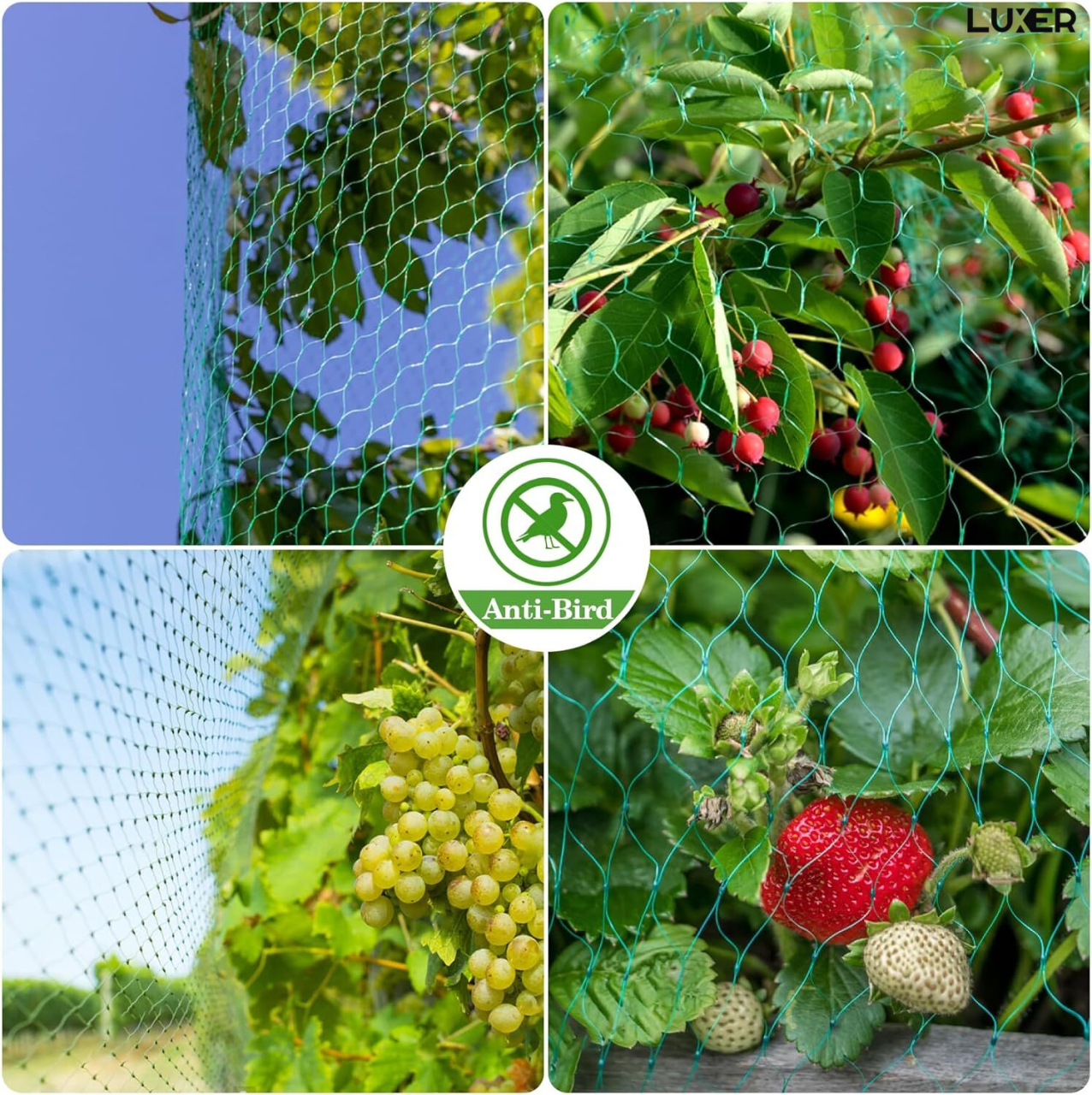 plasa-protectie-gradina-anti-pasari-insecte-verde-luxer-4x5m-ibs0477 [4]