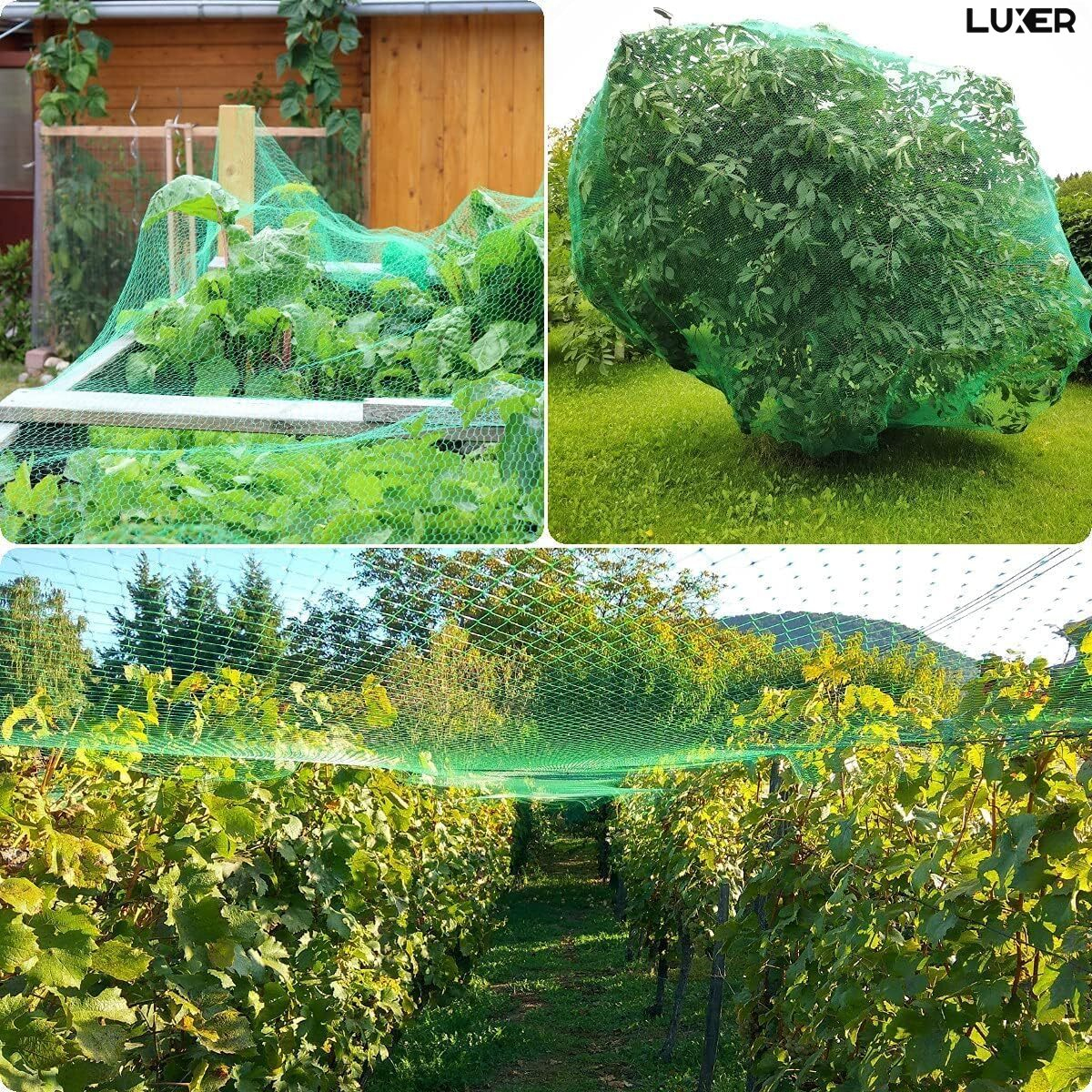 plasa-protectie-gradina-anti-pasari-insecte-verde-luxer-4x5m-ibs0477 [2]