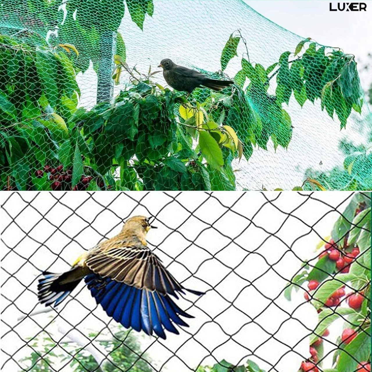 plasa-protectie-gradina-anti-pasari-insecte-verde-luxer-4x5m-ibs0477 [7]