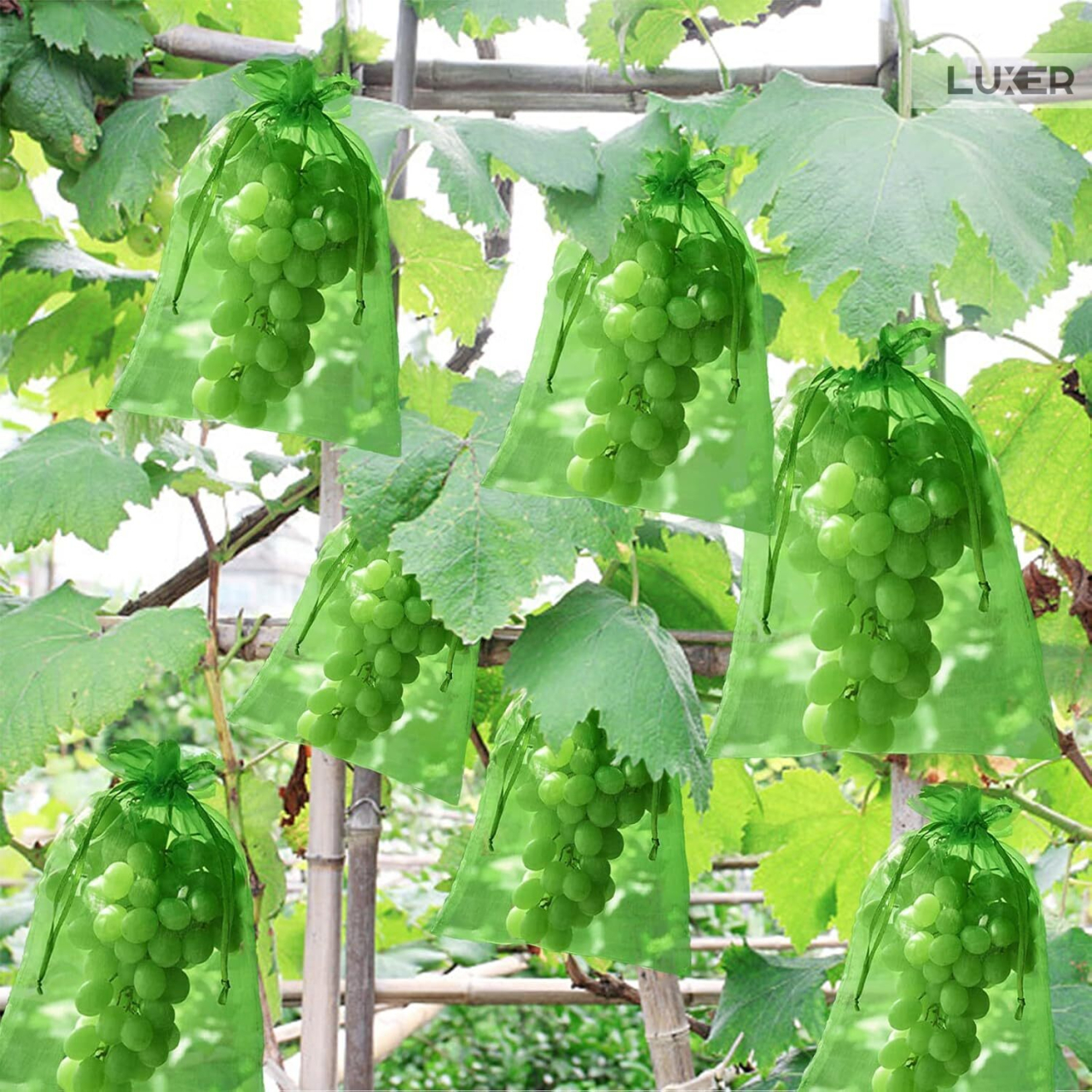 Set 20 pungi protectie fructe si legume Luxer 15x20 cm verde [6]