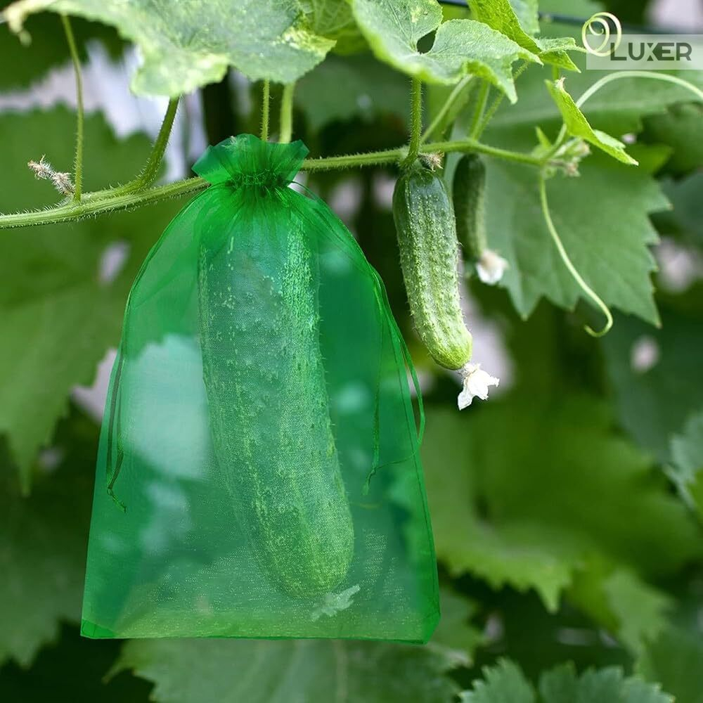 Set 20 pungi protectie fructe si legume Luxer 15x20 cm verde [5]