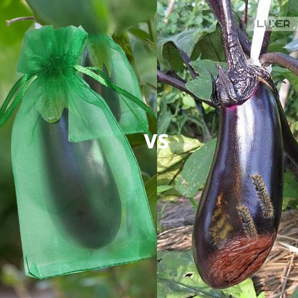 Set 20 pungi protectie fructe si legume Luxer 17x23 cm verde [4]