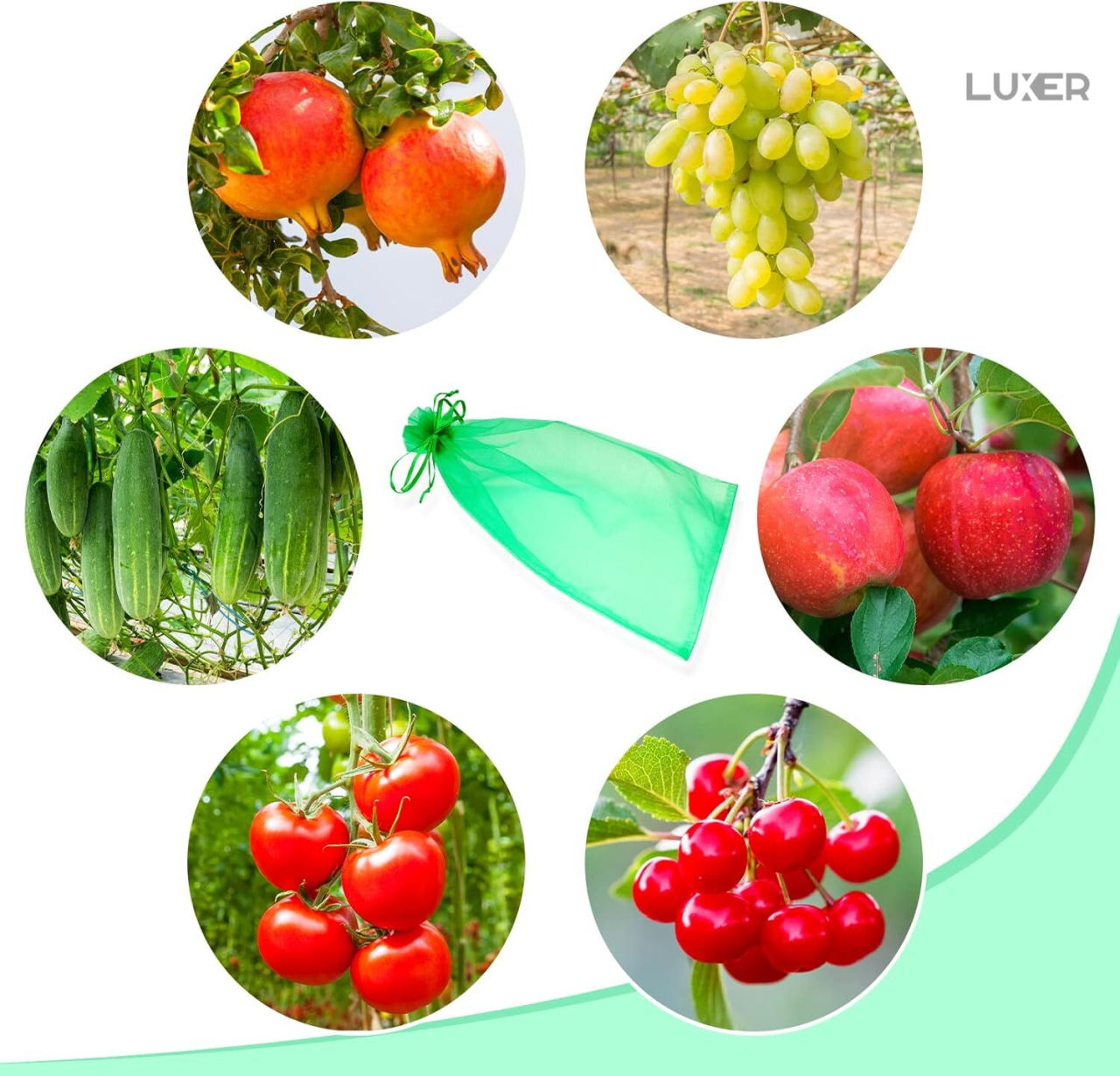 Set 20 pungi protectie fructe si legume Luxer 17x23 cm verde [2]