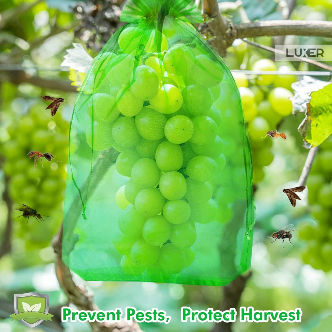 Set 20 pungi protectie fructe si legume Luxer 20x30 cm verde [3]